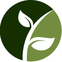Japanese Knotweed Treatment Service Pros