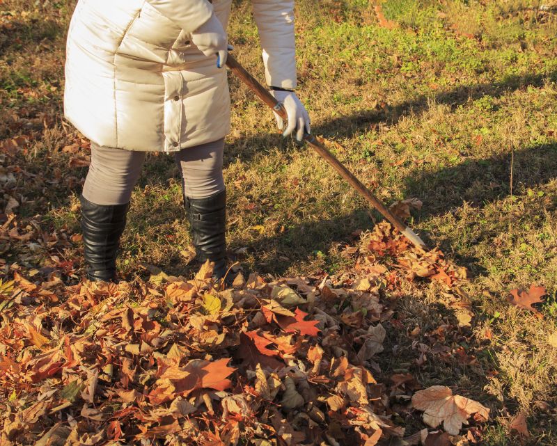 Leaf Removal Service