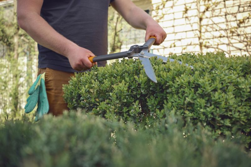 Landscaper Using Pruning Shears